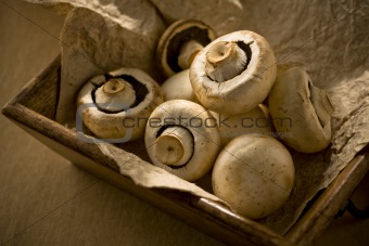 Mushroom in wood container