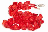 Red Coral Beads isolated