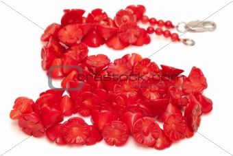 Red Coral Beads isolated