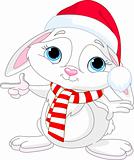 Little Christmas  rabbit pointing
