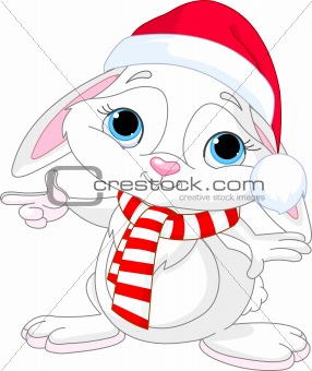 Little Christmas  rabbit pointing