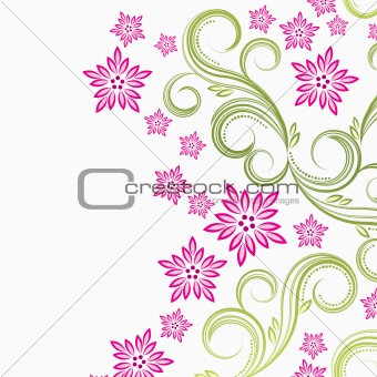 Beautiful pink flowers on green curces on a white background.