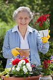 Smiling Senior Woman Holding Flowers