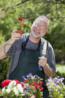 Man Gardening Outdoors
