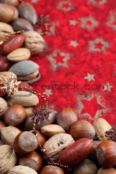 Nut Christmas border
