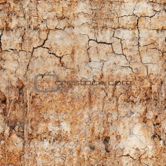 Seamless texture - cracked clay ground