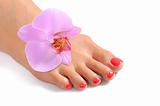 Beautiful feet leg with perfect spa pedicure on bright pink nails