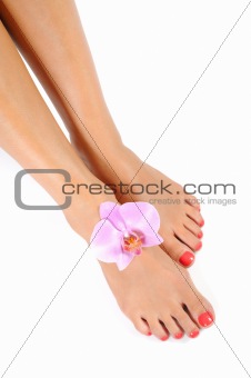 Beautiful feet leg with perfect spa pedicure on bright pink nails