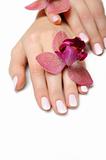 Beautiful hand with perfect nail pink manicure and purple orchid