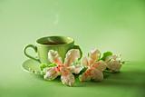 The cup of green tea