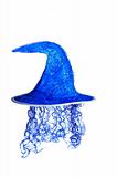 blue hat 1