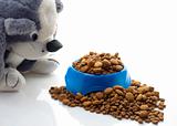 bowl of kibble for dogs