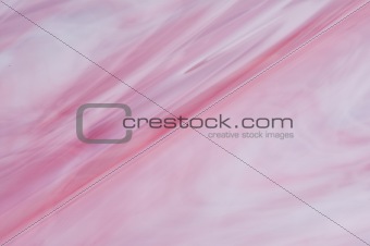 Rose and White Glass