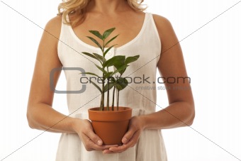 Hands holding potted plant