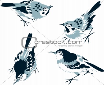 bird cartoon design