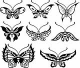 butterfly floral design