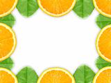 Frame with orange fruit and green leaf