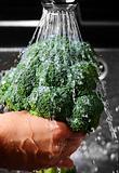 Washing broccoli