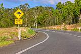 Australian kangaroo warning sign on the side of a road