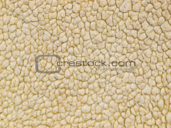 Full Frame Background of a Lambs Woolen Fabric