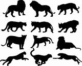 big cats silhouettes