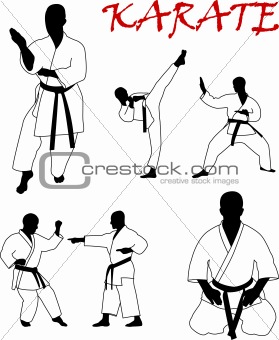 karate collection
