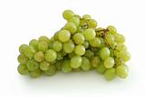 Green grape cluster