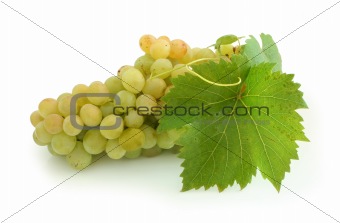 Yellow grape cluster
