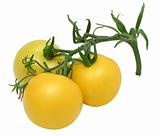 Yellow tomatoes