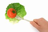 Salad leaf and tomato