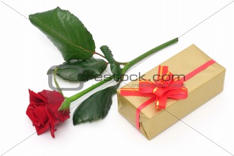 Rose and gift
