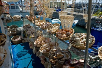 Sea shell store