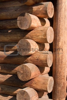 woods, logs