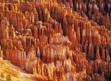 Hodoos in Bryce Canyon National Park