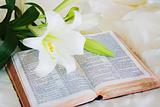 Easter Lily and Bible