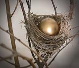 Nest Egg 2