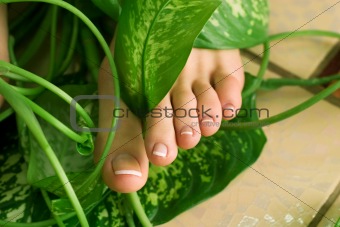 foot with pedicure