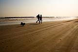 Man and woman jogging on the beach with their dog