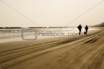 Man and woman running on the beach with their dog
