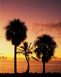 Florida Bay at sunrise