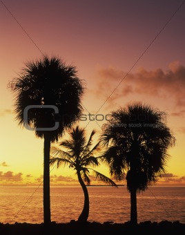 Florida Bay at sunrise
