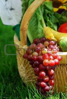 Basket of Garden Vegetables