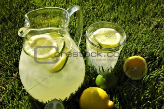 Afternoon Lemonade