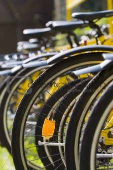 Rack of Bicycles