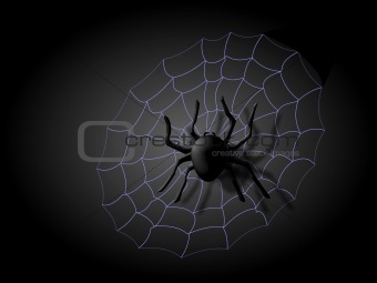 Spider and Web2