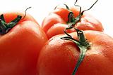 Tomatoes fruit