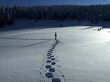 track on the snow