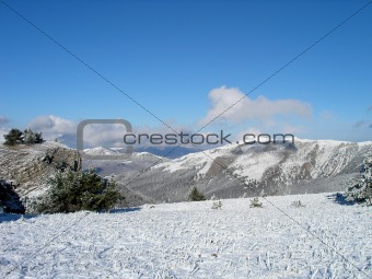 winterforest in the  mountains
