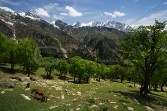 Himalaya landscape