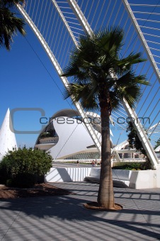 City of the Arts and the Sciences - Valencia, Spain